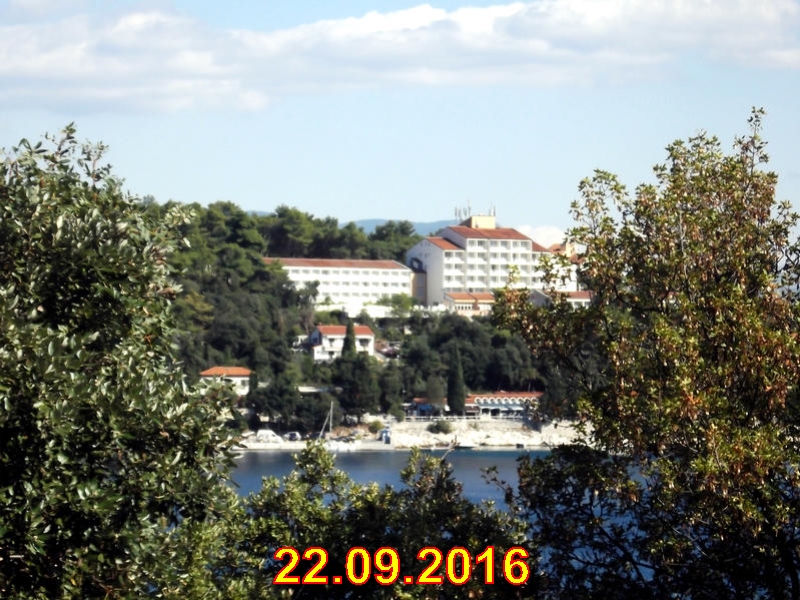 rabac021